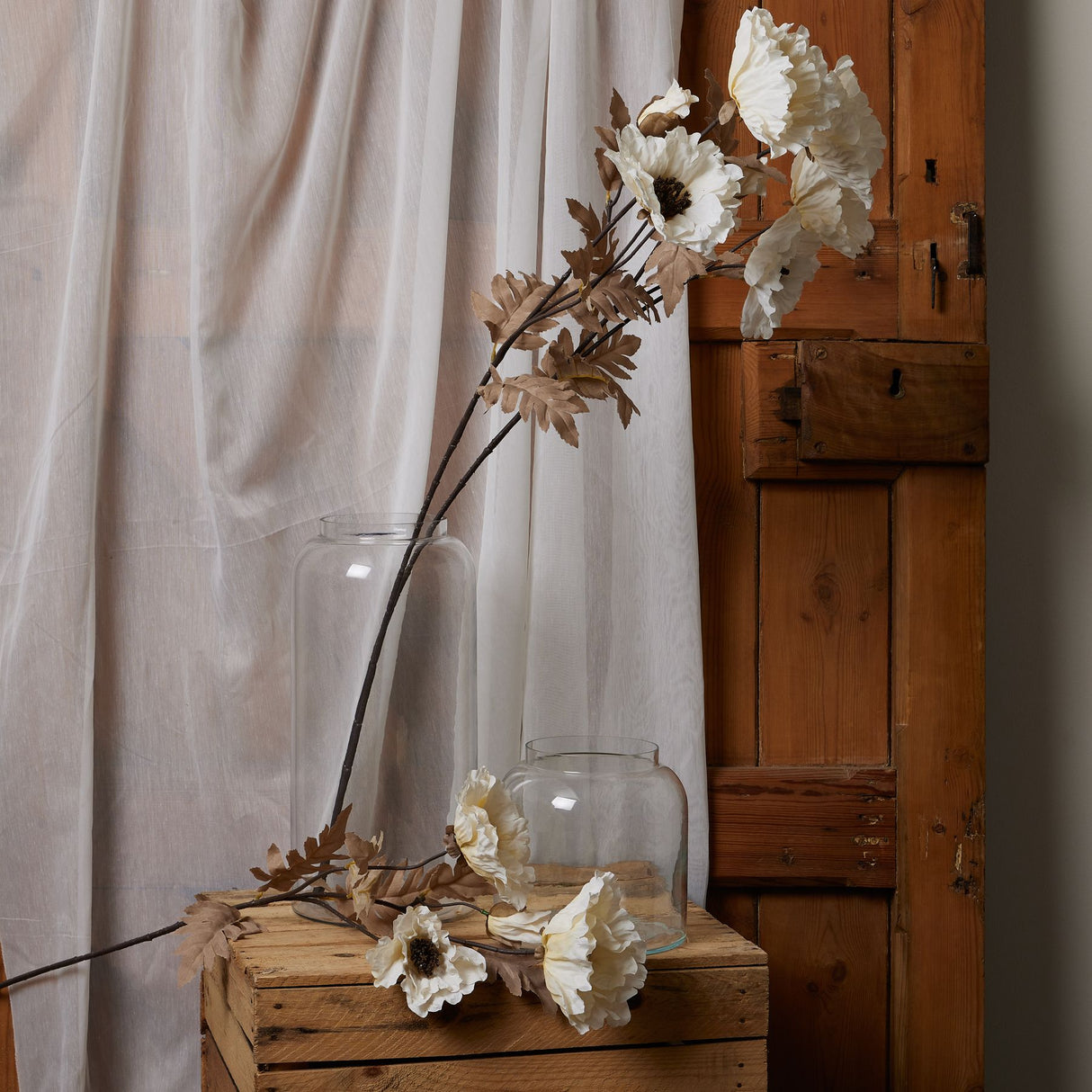 large white poppy stem