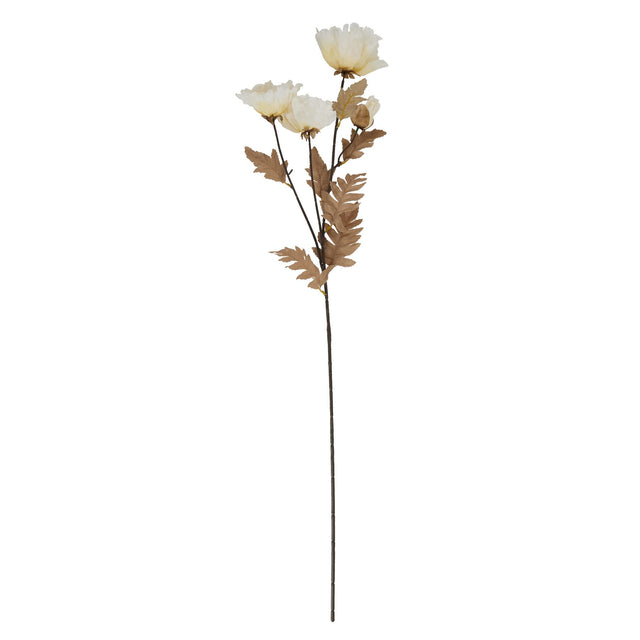 large white poppy stem