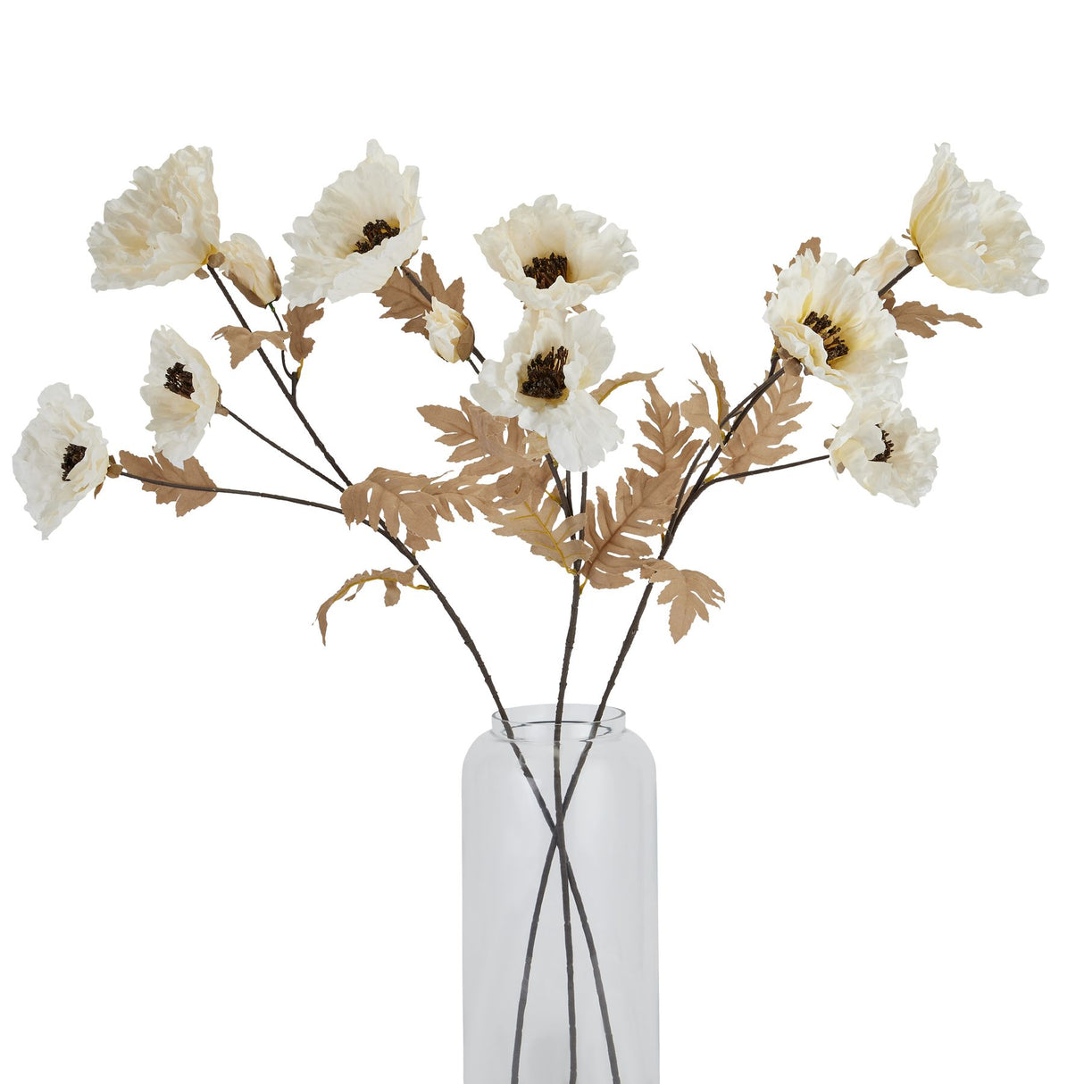 large white poppy stem
