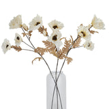 large white poppy stem