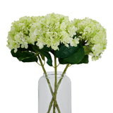 oversized green hydrangea