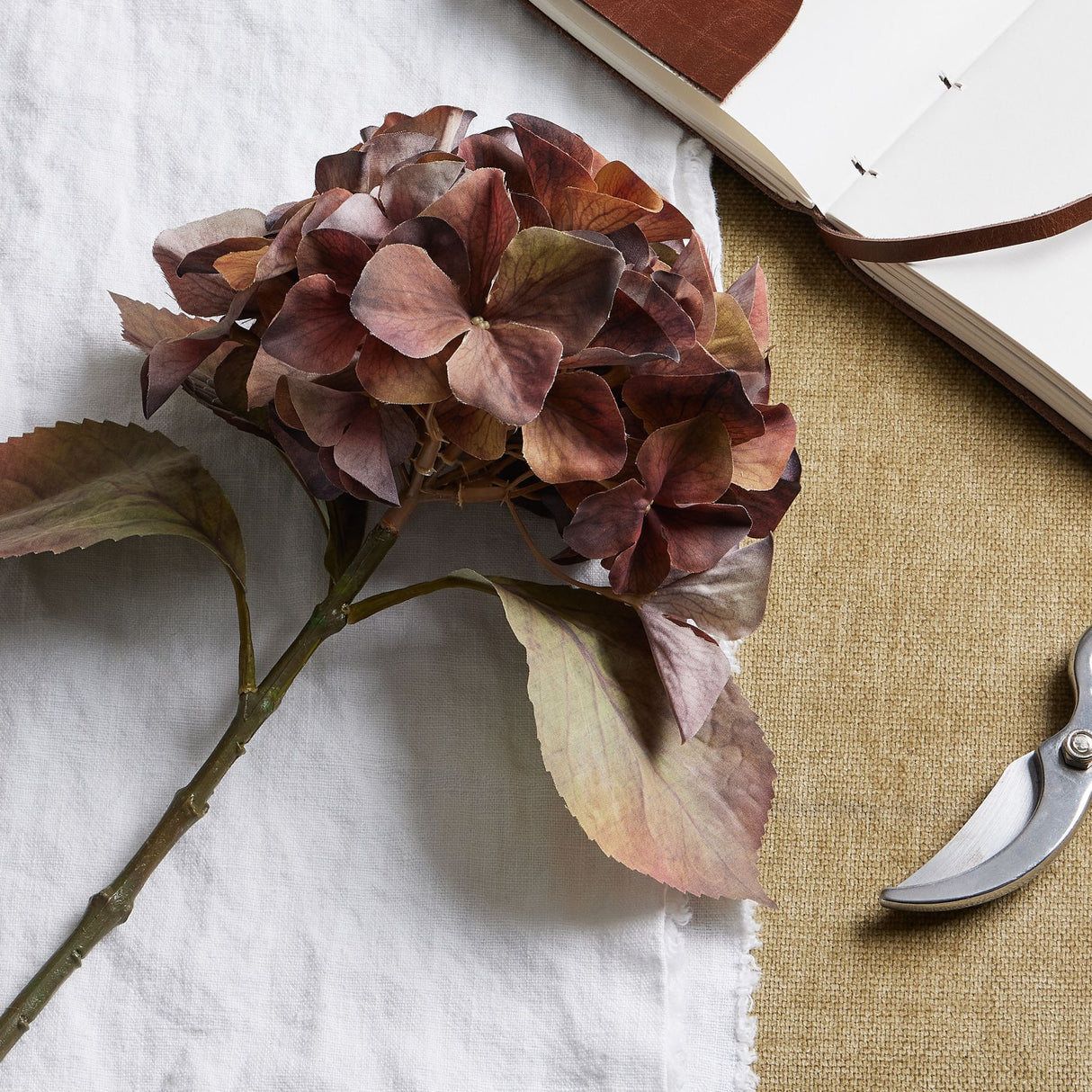 mixed autumn browns single hydrangea stem