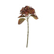 mixed autumn browns single hydrangea stem
