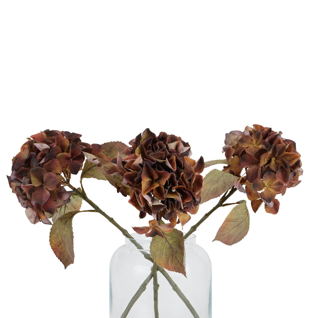 mixed autumn browns single hydrangea stem