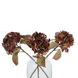 mixed autumn browns single hydrangea stem