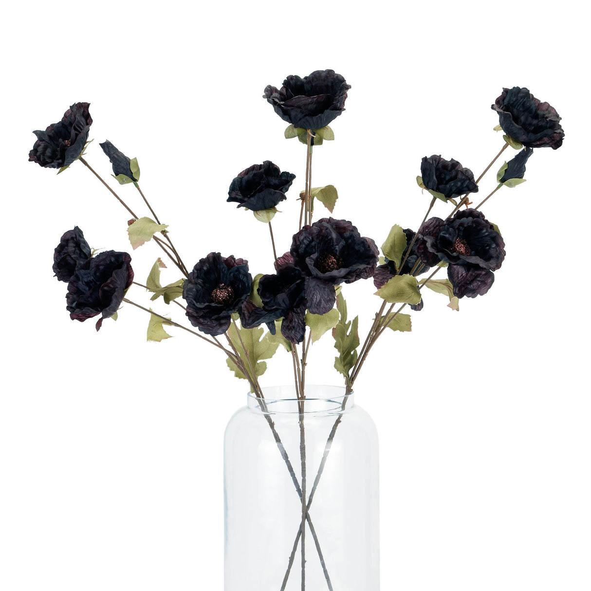 tall black poppy stem