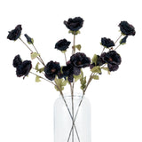tall black poppy stem