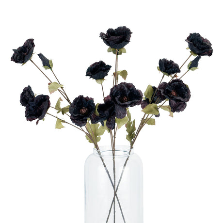 tall black poppy stem