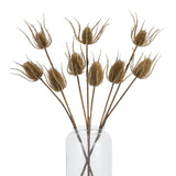 large brown triple teasle stem