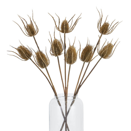 large brown triple teasle stem