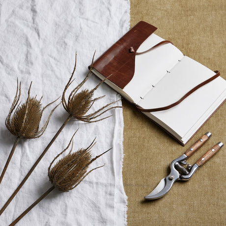 large brown triple teasle stem