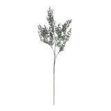 blackened grass spray stem