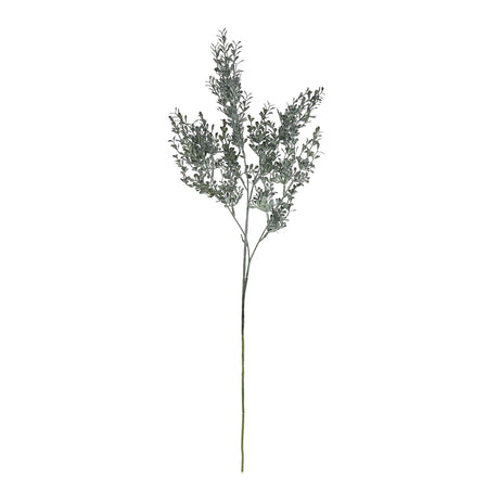 blackened grass spray stem