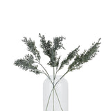 blackened grass spray stem