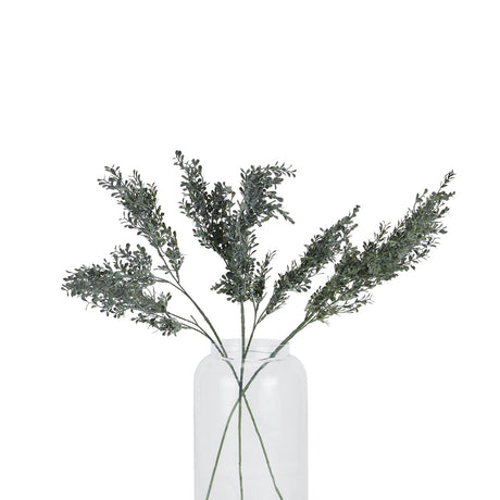 blackened grass spray stem