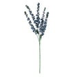 large blue eucalyptus stem