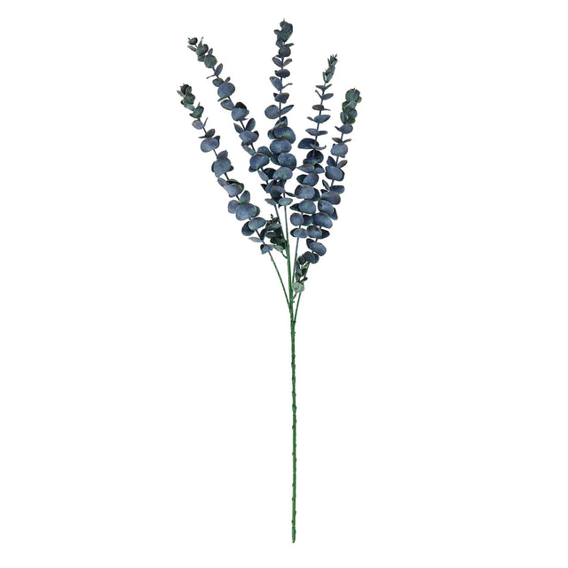 large blue eucalyptus stem
