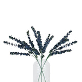 large blue eucalyptus stem