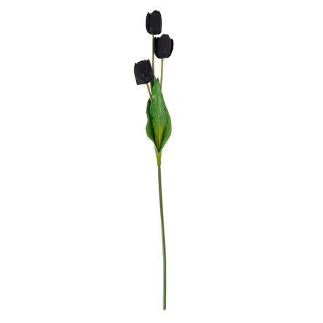 tall black triple tulip stem
