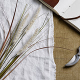 cream triple grass stem