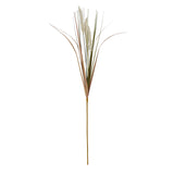 cream triple grass stem