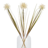 cream aster spider chrysanthemum stem