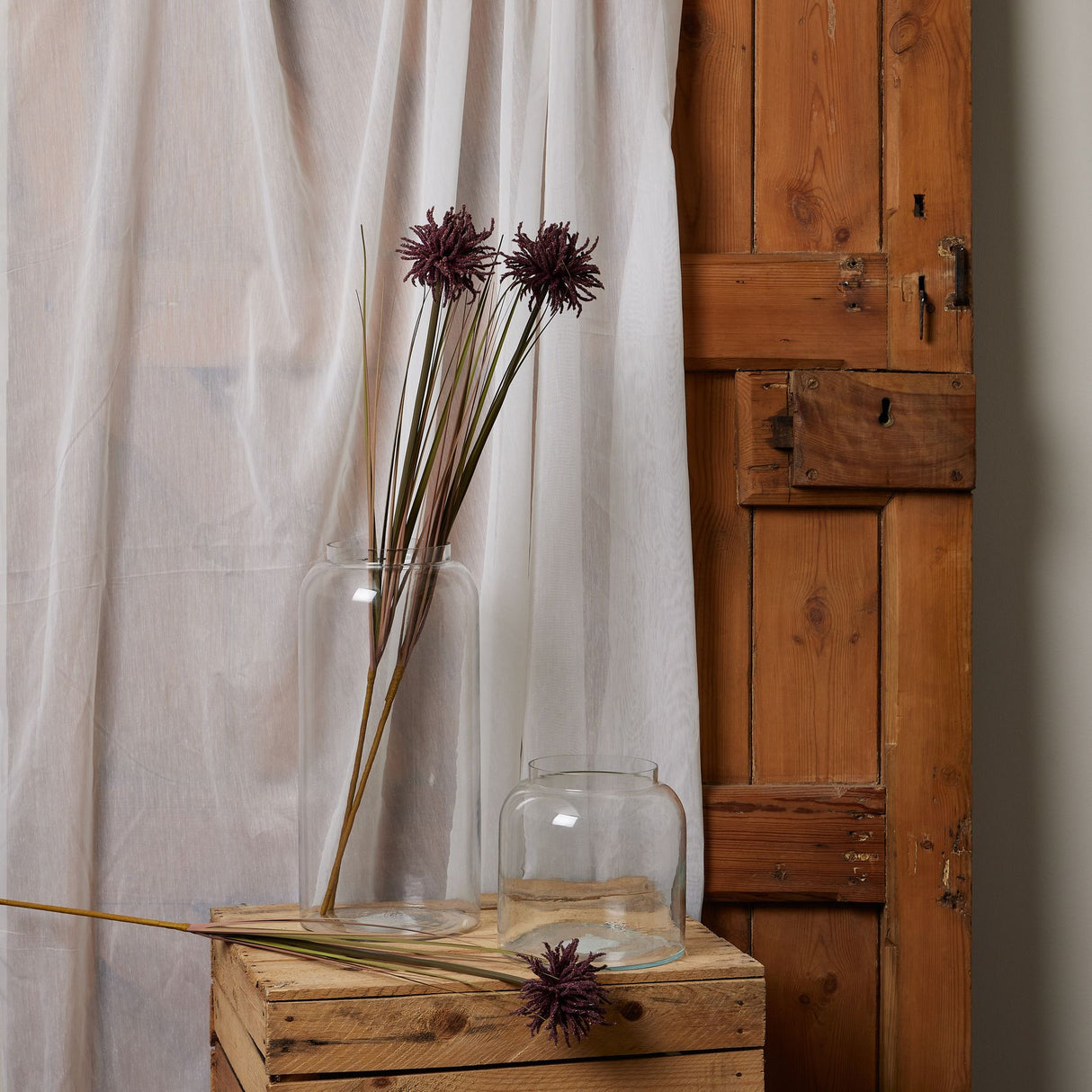 burgundy aster spider chrysanthemum stem