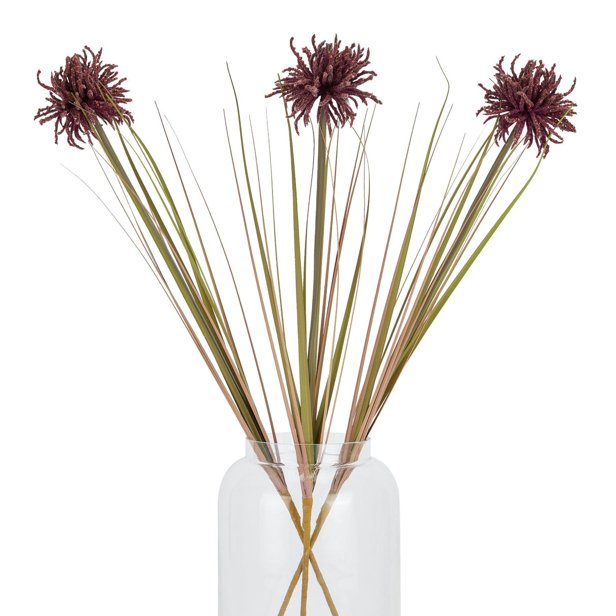 burgundy aster spider chrysanthemum stem