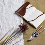 burgundy aster spider chrysanthemum stem