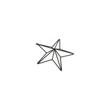 Ines Matt Black Convexed Medium Star Frame