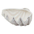 siren medium ceramic shell bowl
