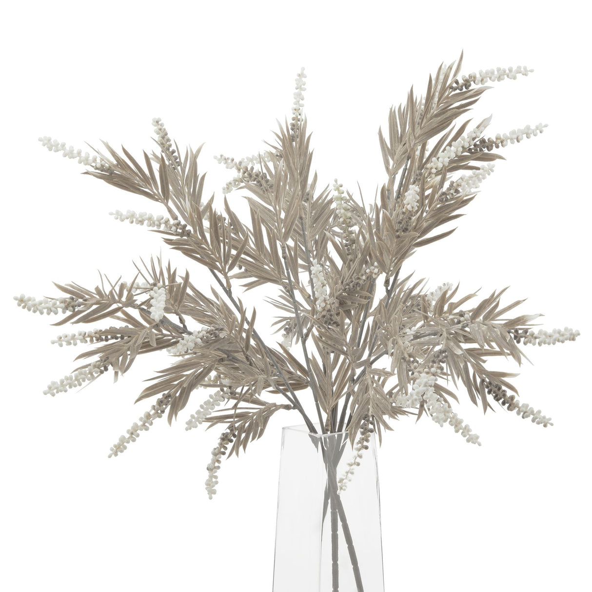 Emile Taupe and Ivory Large Branch