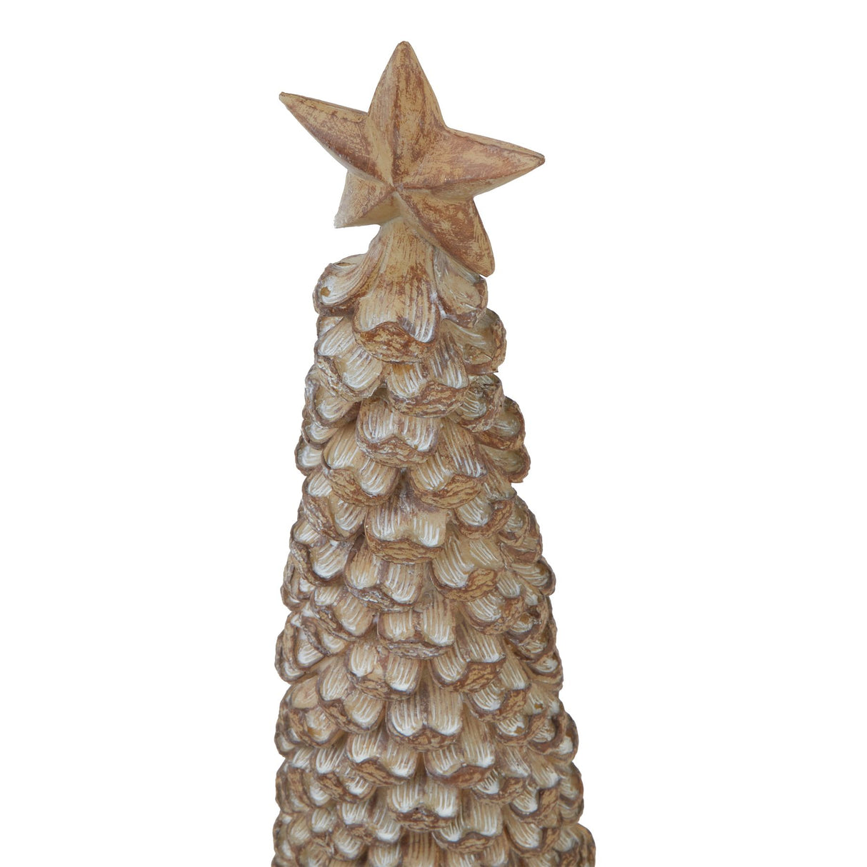 large beige cedar tree with star
