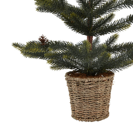 medium spruce tree with wicker basket