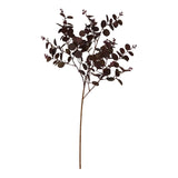 burgundy eucalyptus bunch