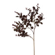 burgundy eucalyptus bunch