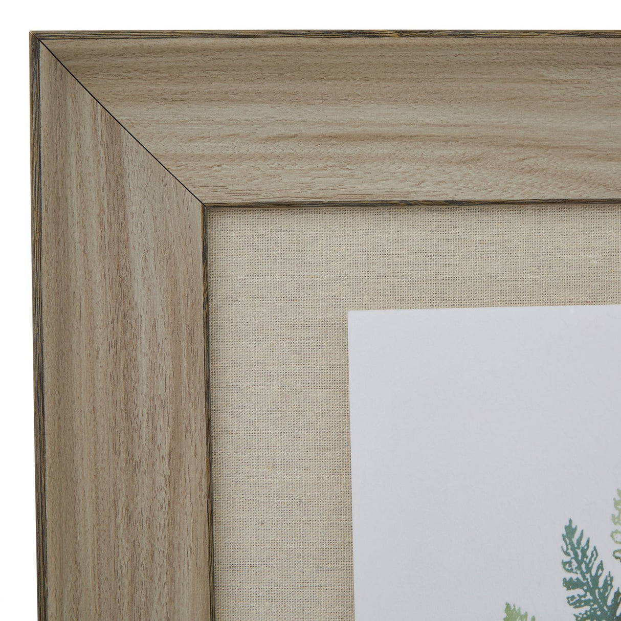 watercolour fern duo in washed wood frame