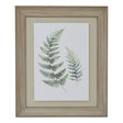watercolour fern duo in washed wood frame