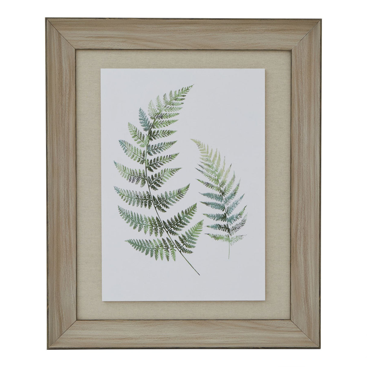 watercolour fern duo in washed wood frame