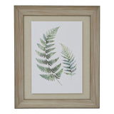 watercolour fern duo in washed wood frame