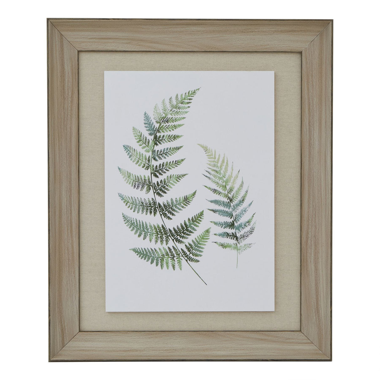 Roxane Fern Duo In Washed Wood Frame (Watercolour)