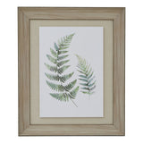 Roxane Fern Duo In Washed Wood Frame (Watercolour)