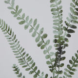 watercolour delicate fern in washed wood frame