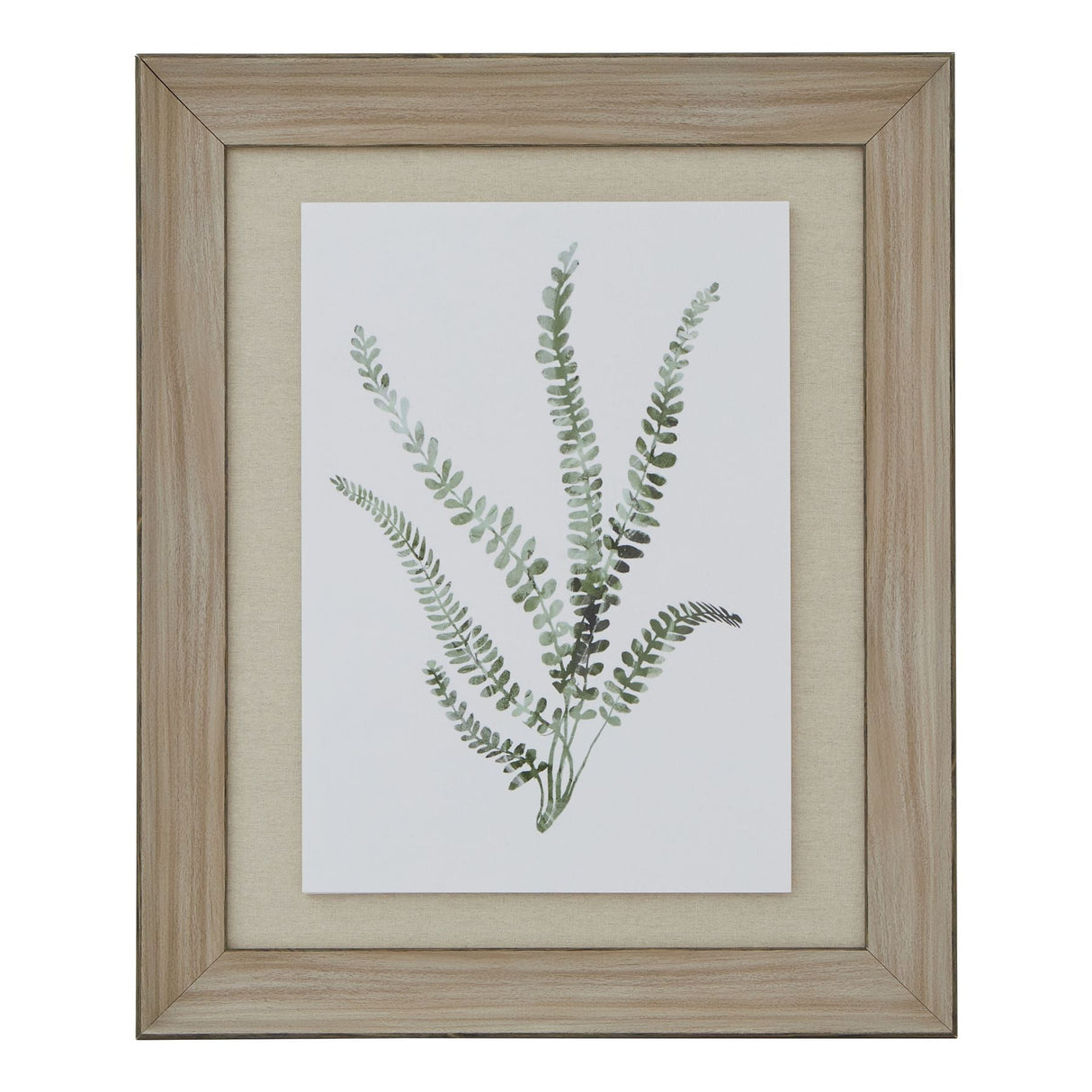 Roxane Delicate Fern In Washed Wood Frame (Watercolour)