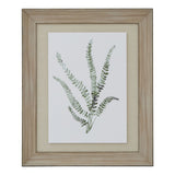 Roxane Delicate Fern In Washed Wood Frame (Watercolour)