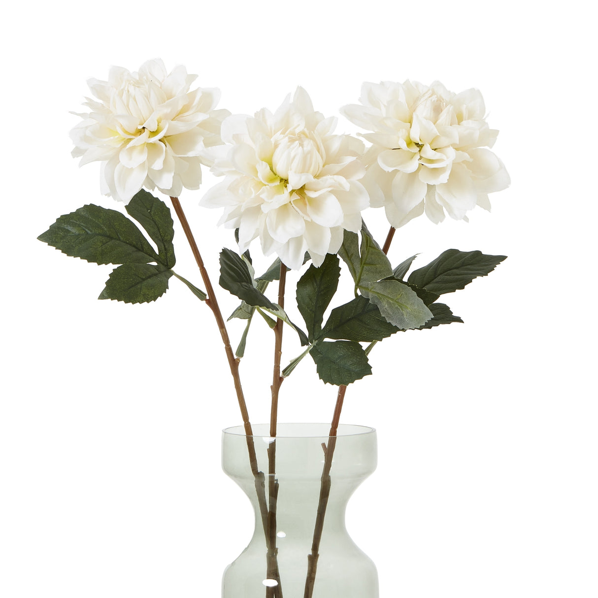 the natural garden collection tall white dahlia