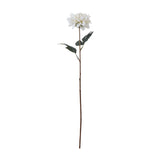 the natural garden collection tall white dahlia