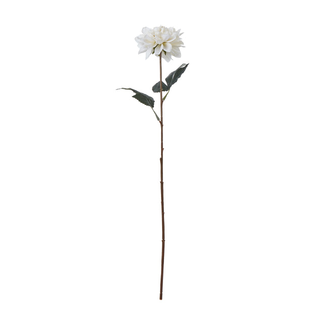 the natural garden collection tall white dahlia