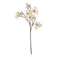 the natural garden collection pale apricot magnolia stem