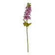 the natural garden collection purple elatum delphinium